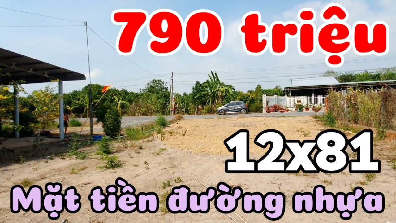 Bán đất đẹp 12x81 đường nhựa giá rẻ 790 triệu ở Long Chữ Tây Ninh cách Núi Bà Đen 25km TPHCM 70km