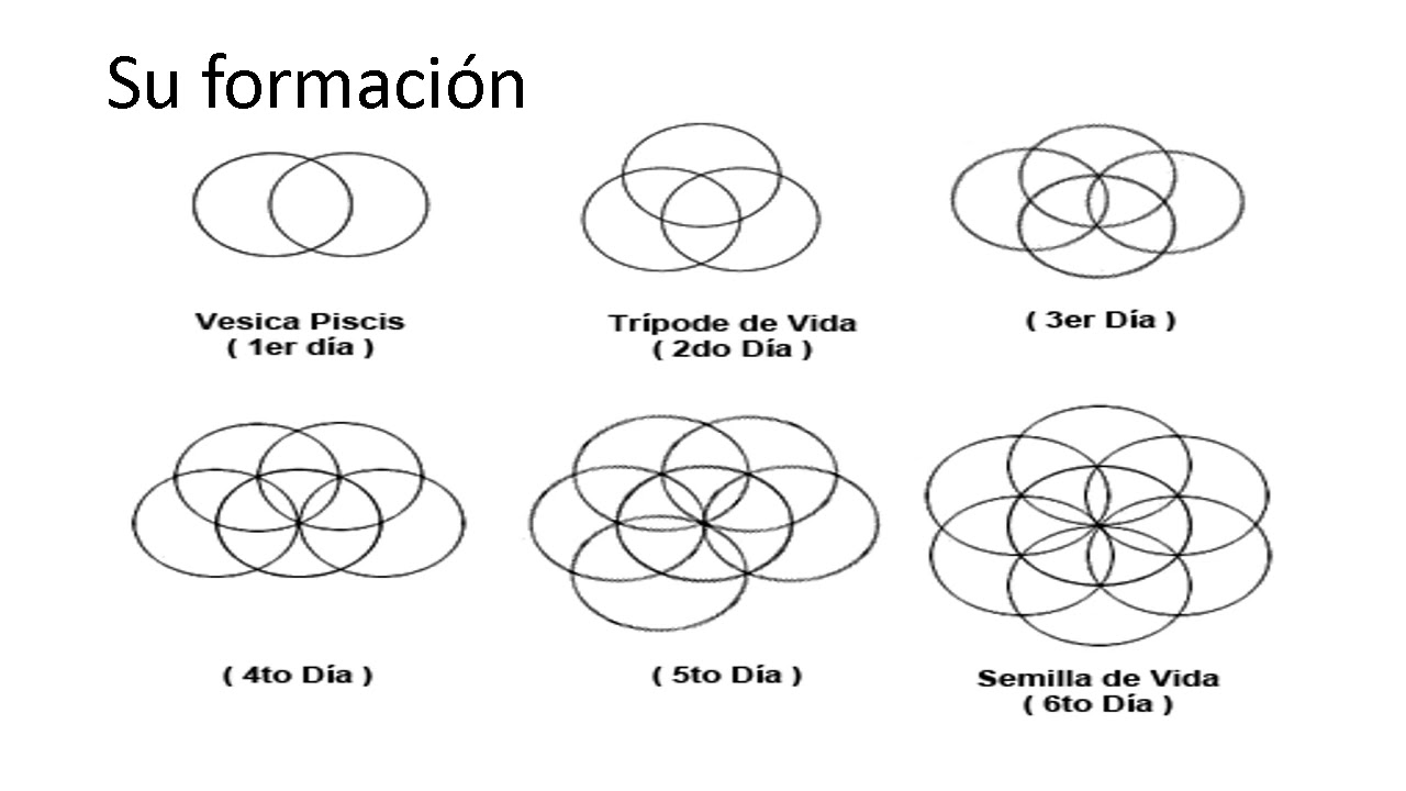 Metatrón y la for de la vida holistica international
