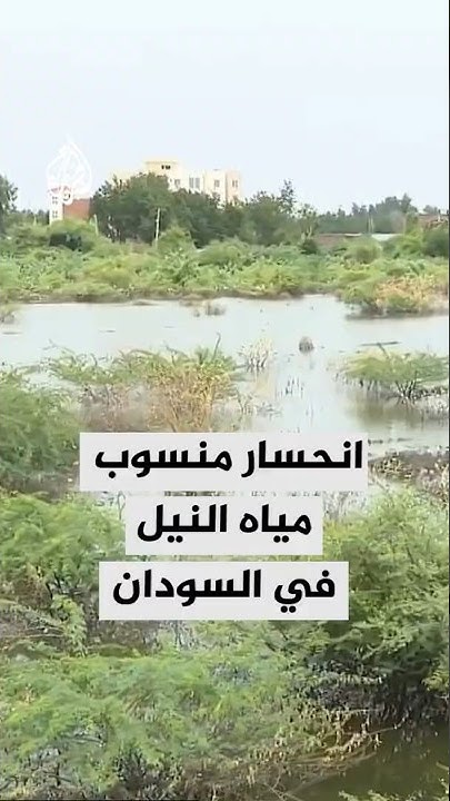               
 - نشر قبل 45 دقيقة