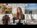 A FEW DAYS IN MY LIFE | new couch, chill week, life with Tika, vlog