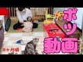 【年の差兄弟】ボツ動画②〜生後８ヶ月頃