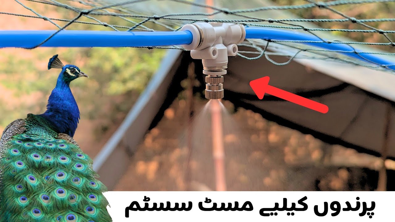 Mist System For Birds | Peacock Villa - YouTube