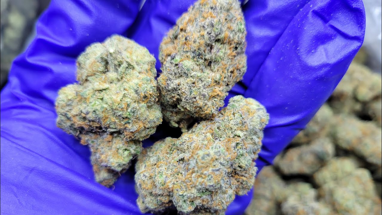 Jamaica's Green Treasure: The Story of Lamb's Bread 🇯🇲 🐑 🍞