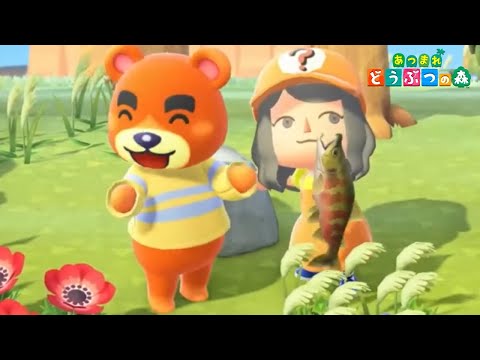 あつ森】えっ？【あつまれどうぶつの森】 - YouTube