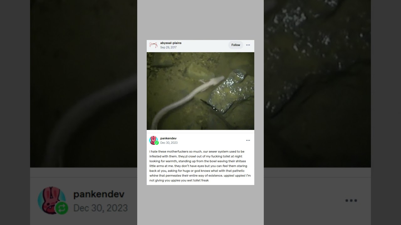 Пост Olm Panic в Tumblr