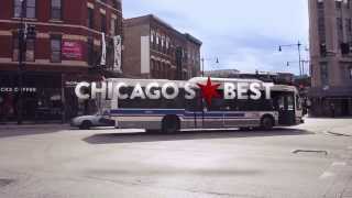 Chicago's Best Bakery Show Open