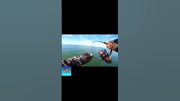 Tổng hợp câu jig biển  cá chét #xuhuongyoutube #fishing #fish #kiengiang #honson