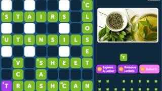 Crossword Quiz AT THE HOUSE Level 9 - Walkthrough
