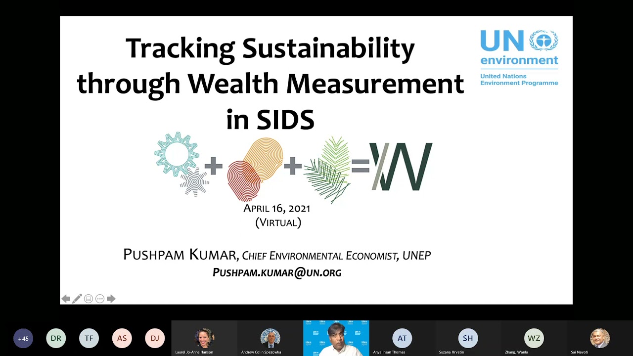 Webinar 3 in the Webinar Series on MVI for SIDS