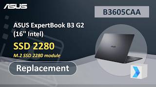 Asus Expertbook B3 G2 (16 Intel) Ssd 2280 Replacement Asus Support