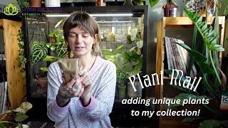 unboxing unusual new plants from crystal star nursery (I'm sooo excited about these!)