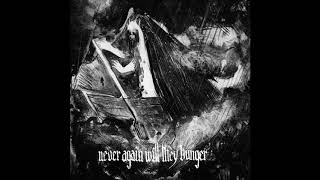 Over the Voids... - Never Again Will They Hunger
