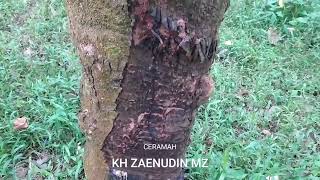 CERAMAH KH ZAINUDIN MZ FULL LUCU   ZAINUDIN MZ    TANDA HARI KIAMAT