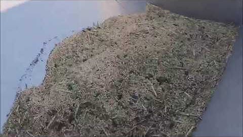 millet cleaning 2018 (millet/miglio/hirse/köles) with S-800-SPECIAL-INOX Seed cleaning machine