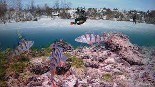 ОНА РВЁТ ЛЕСКУ С УЛОВИСТОЙ МОРМЫШКОЙ! РЫБАЛКА МЕЧТЫ