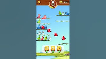 Bird Sort Game Level 104