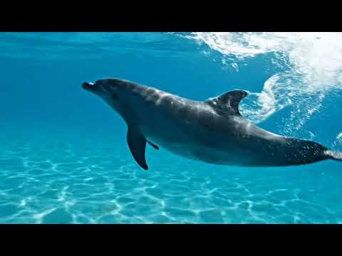 Love in the Small Things Ed Sheeran – | Emotional Pop Love Song