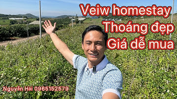 ĐẤT VIEW HOMESTAY TRIỆU ĐÔ, GIÁ DỄ MUA