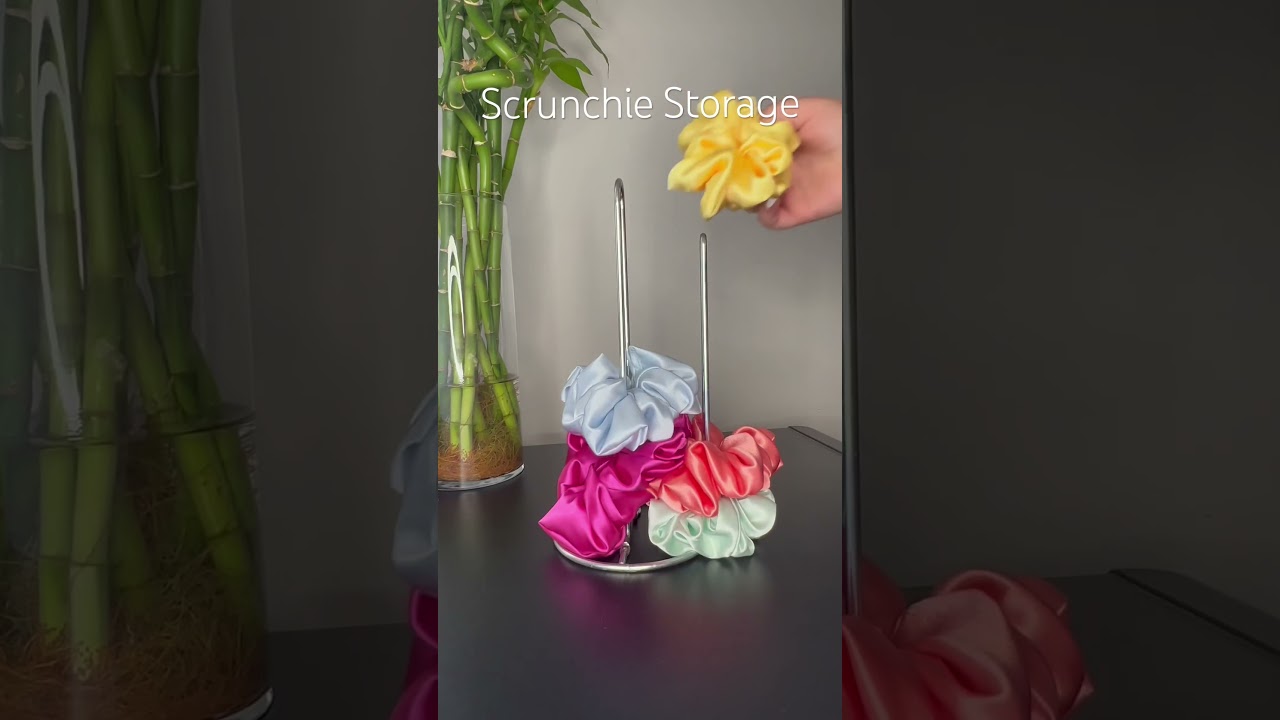 Scrunchie Storage 