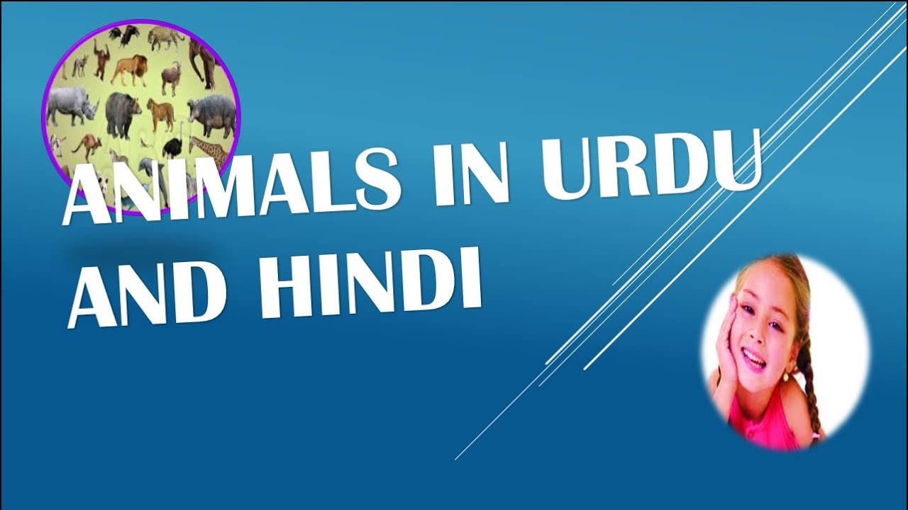 Animals in Urdu and Hindi Video 1 of 10 - YouTube