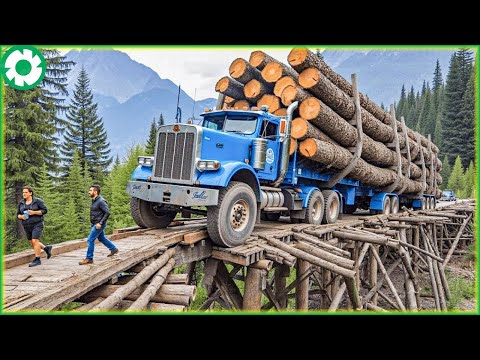 You Will Be Shocked Truck And Extreme Dangerou Heavy Equipment | Biggest Heavy Machinery Machines #4