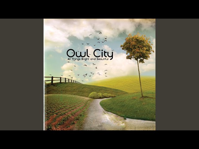 Owl City - Hospital Flowers