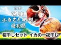 株式会社やまいち 〜宮津 ふるさと納税 返礼品〜 桜干しセット イカの一夜干し