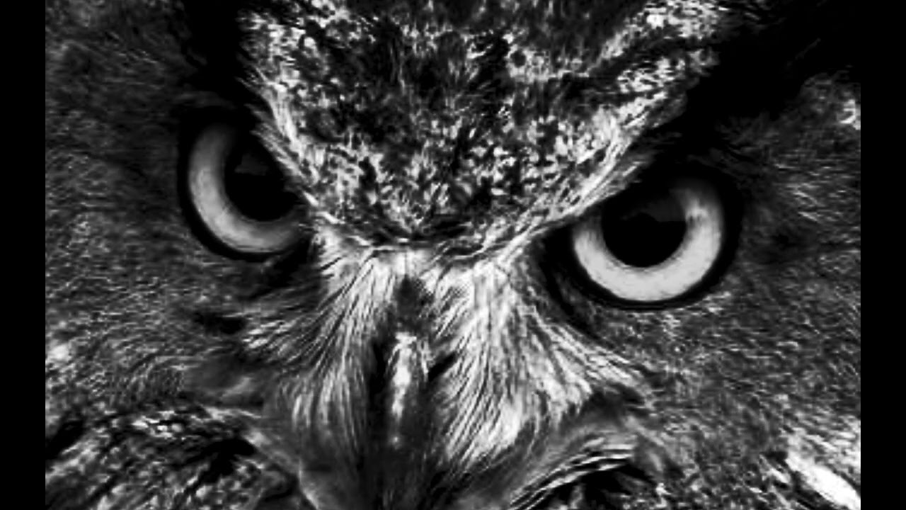 FREE 'SHOCK' Dark Trap Beat | Travis Scott x Future Type 2026