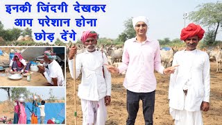 गौ सेवा के लिए बदहाली में भी खुशहाल जिंदगी जीते हैं ये गड़रिये, Gosewa #Desicow #indigenouscow