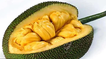 how to cut kathal- cut kathai / jackfruit