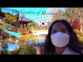 One of the most famous place in south korea  the garden of morning calm  autumn 2020