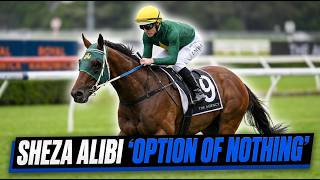 What's next for Sheza Alibi before The Golden Eagle? | News Central