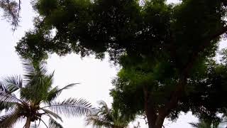 VGP Golden Beach Resort taken on DJI Osmo Plus