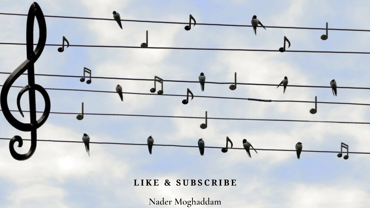 Iranian/Persian Dinner Music - Soft & Relaxing Instrumental Melodies موسیقی ملایم بی کلام ایرانی شاد