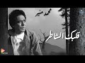     محمد منير قلبك الشاطر