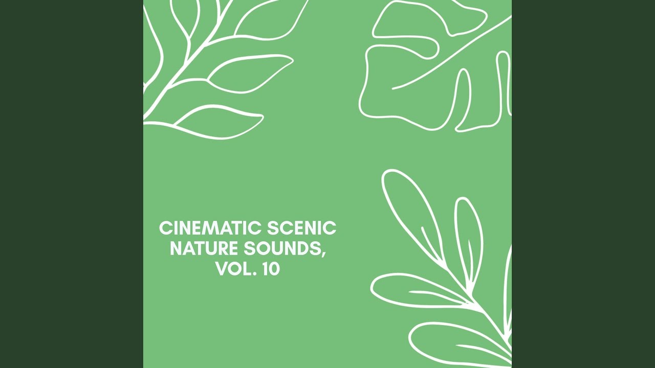 Friendly Ethereal Pad