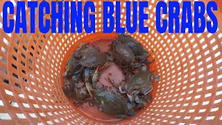 HOW TO SET AND RUN BLUE CRAB TRAPS