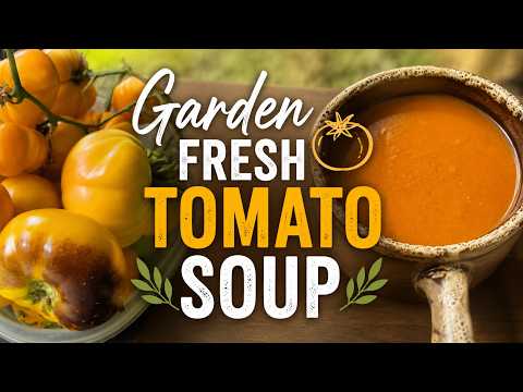 🍅 Garden Fresh Tomato Soup | From Seed to Spoon