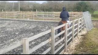 Ad ref 250976 Video 1