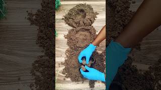 "Hidden Lego Discovery! 🏗️ Sand Dig Challenge"