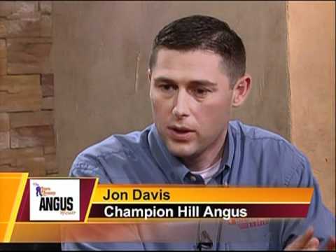 video phone beyonce mp3 Sure Champ Angus Hour Conclusion