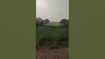 A1 A2 A3 A4 A5 A6 A7 A8 A9 processor