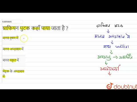 वीडियो: पीडियोकोकस कहाँ पाया जाता है?