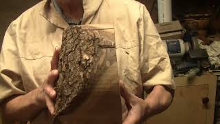3 Steps Beautiful Black Walnut Wood Turning