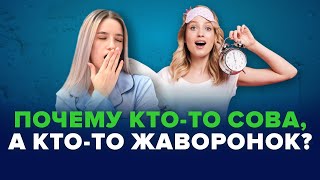 Поздно ложусь и поздно встаю. Совы и жаворонки.