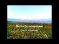 Цветы в бутылке feat. Родион Гвоздодёров