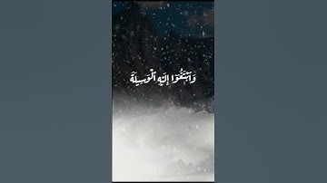 يا أيها الذين آمنوا اتقوا الله وابتغوا إليه الوسيلة وجاهدوا في سبيله لعلكم تفلحون -القارئ علي جابر