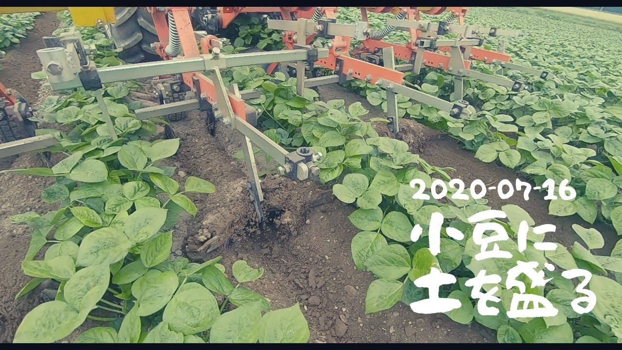 001 07 16 小豆培土作業 Youtube