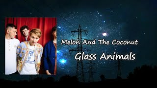 Melon And The Coconut _ Glass Animals  Lyrics