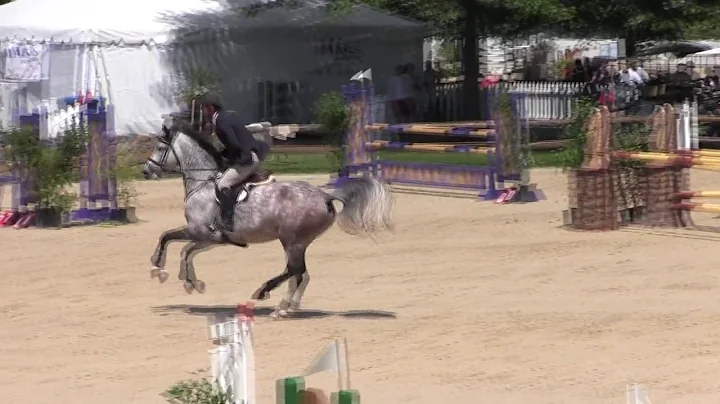 Video of COURAGEOUS ridden by EVAN COLUCCIO from S...